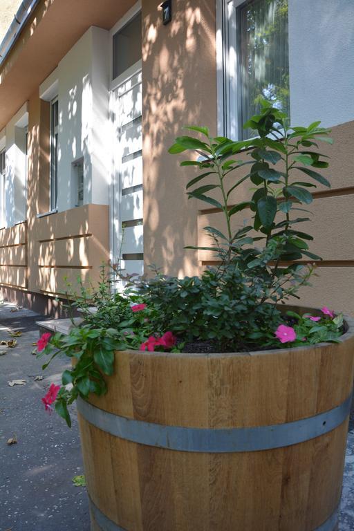 Bodza Apartmanok Eger Buitenkant foto